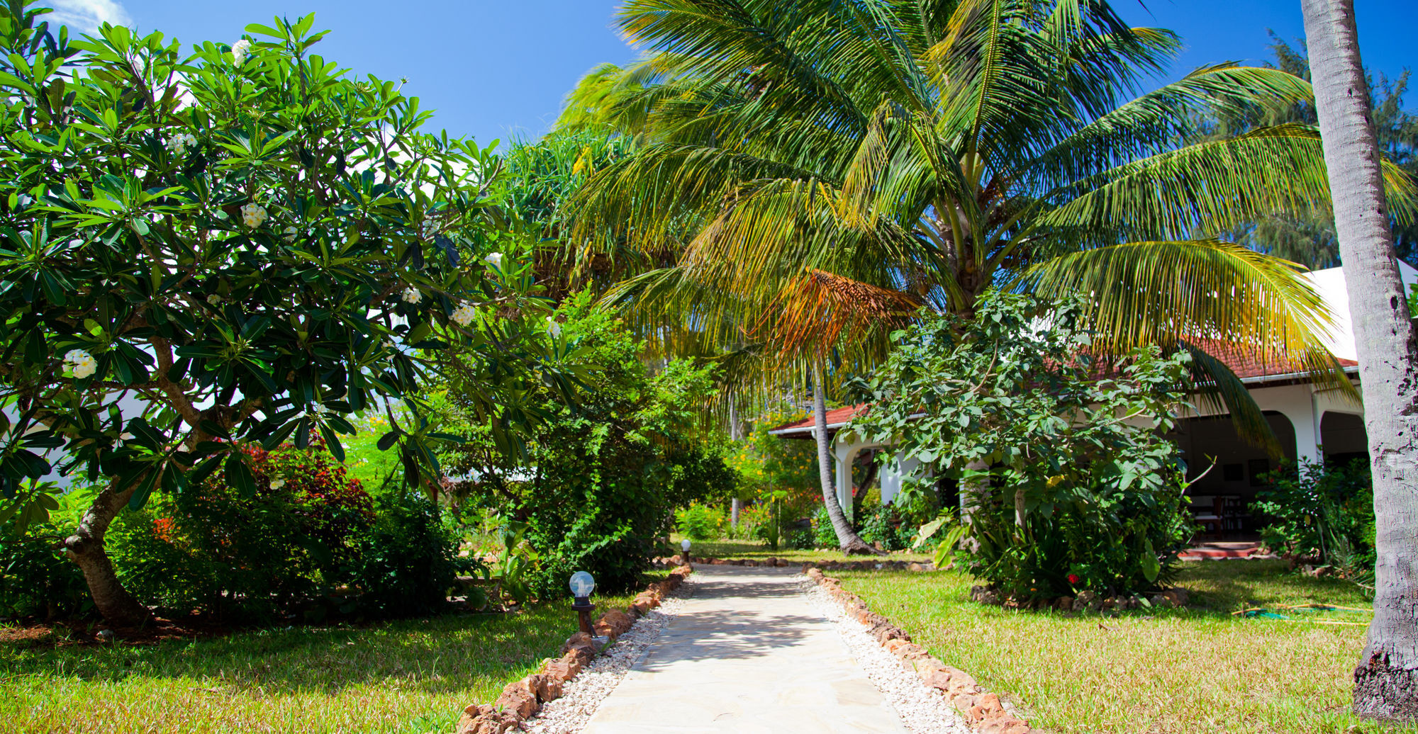 Flame Tree Cottages Nungwi Ngoại thất bức ảnh